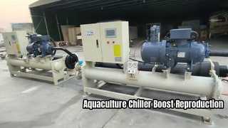 Dedicated chiller for aquaculture industry